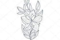 210x140 Tag Jasmine Flower Drawing Pic - Jasmine Drawing Flower