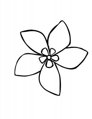 309x400 Jasmine Flower Simple Drawing Chinese Art Flower Coloring - Jasmine Drawing Flower