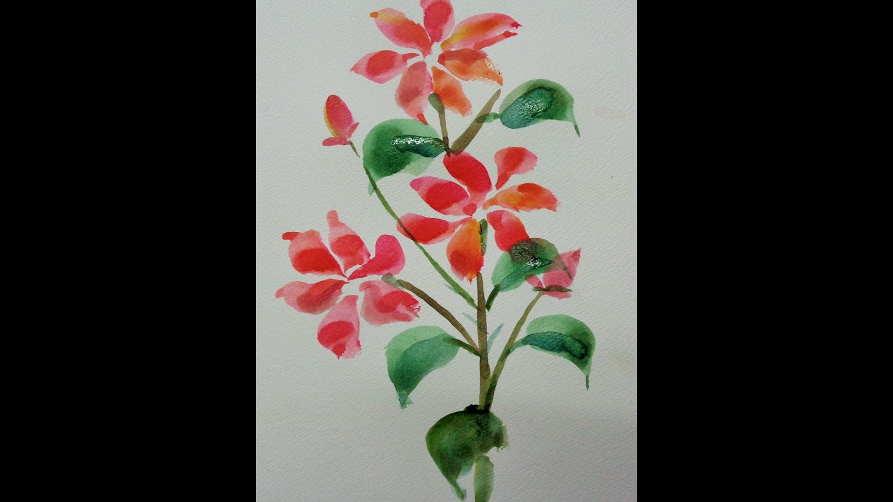 1280x720 How To Draw Flowers - Jasmine Flower Drawing