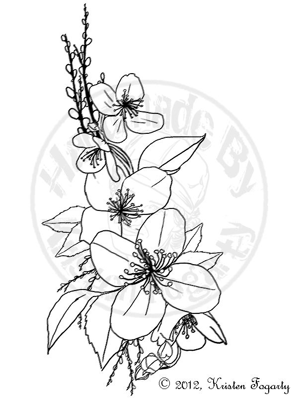 600x800 jasmine flower drawings related keywords suggestions - Jasmine Flower Drawing