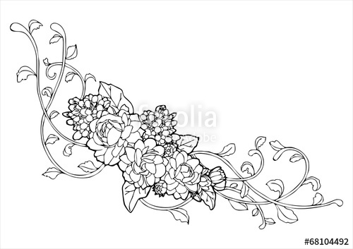500x353 Jasmine Flower And Vine Line Drawing Vector Stock Image - Jasmine Flower Drawing
