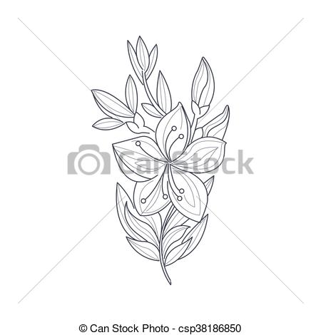 450x470 Jasmine Flower Monochrome Drawing For Coloring Book Hand Drawn - Jasmine Flower Drawing