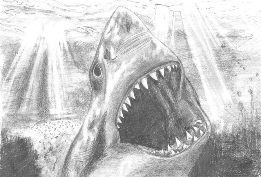 Jaws Drawing at PaintingValley.com | Explore collection of Jaws Drawing