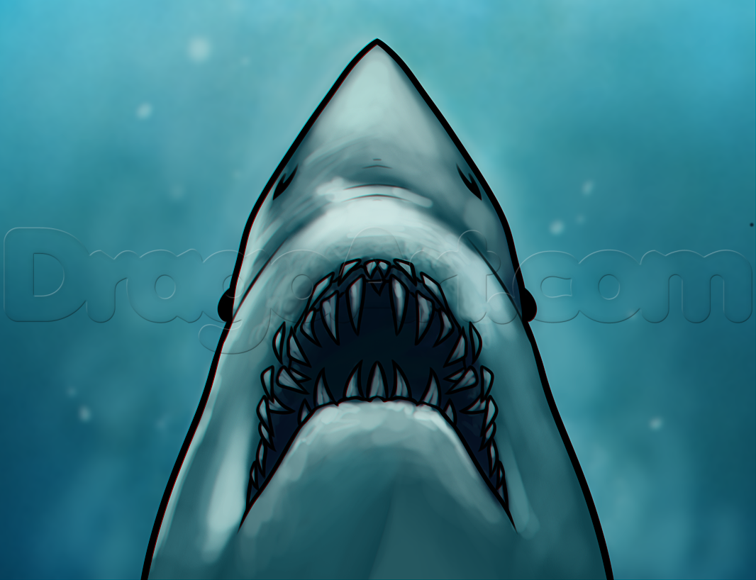 How To Draw A Great White Shark With Mouth Open