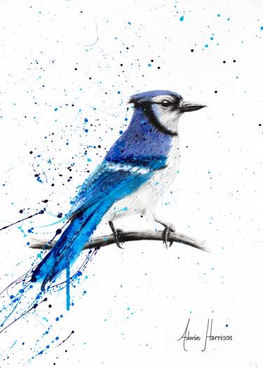 375x525 Blue Jay Sunday Drawing - Jay Drawing