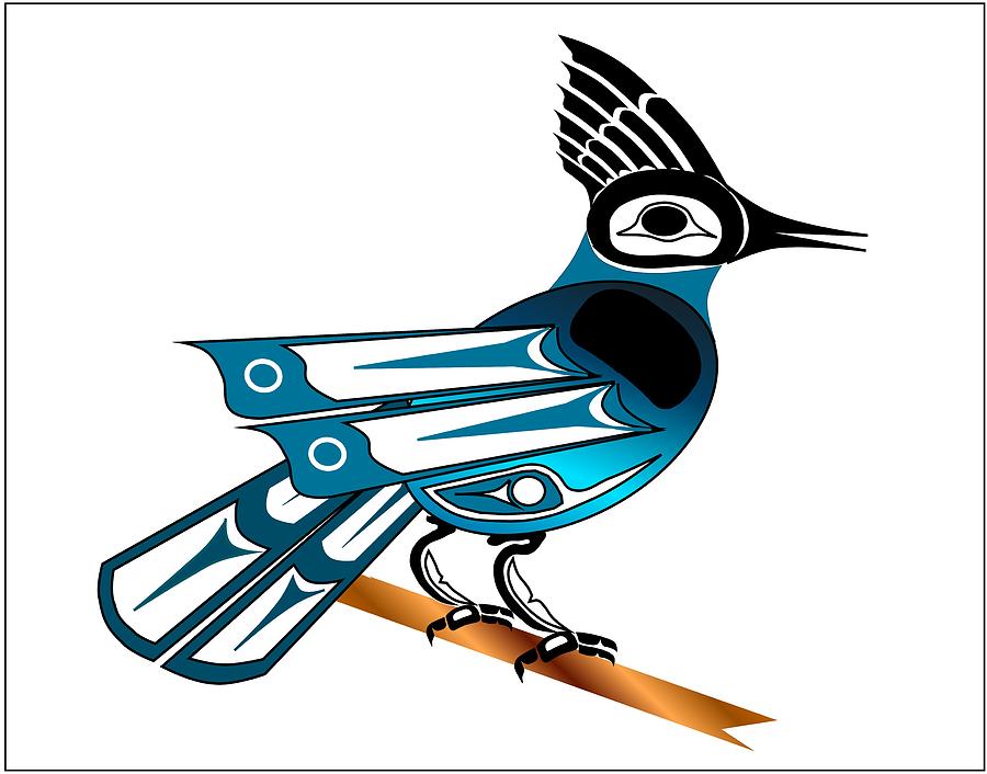 900x706 Stellar Jay Drawing - Jay Drawing