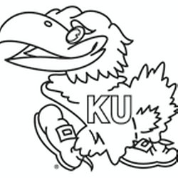 250x250 Drawing Lessons - Jayhawk Drawing