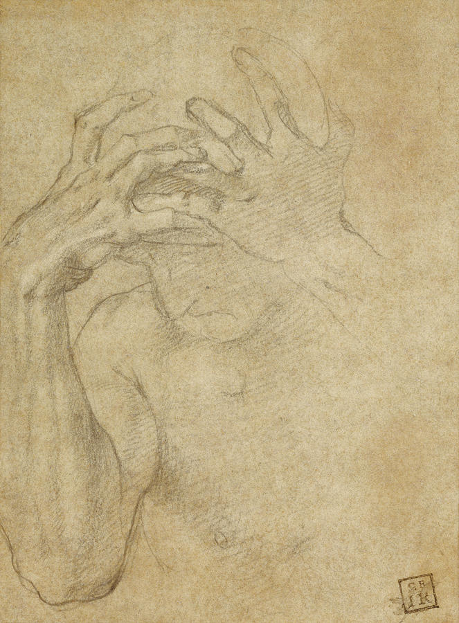 663x900 Study Of Jealousy Agnolo Bronzino, Italian Drawing - Jealousy Drawing