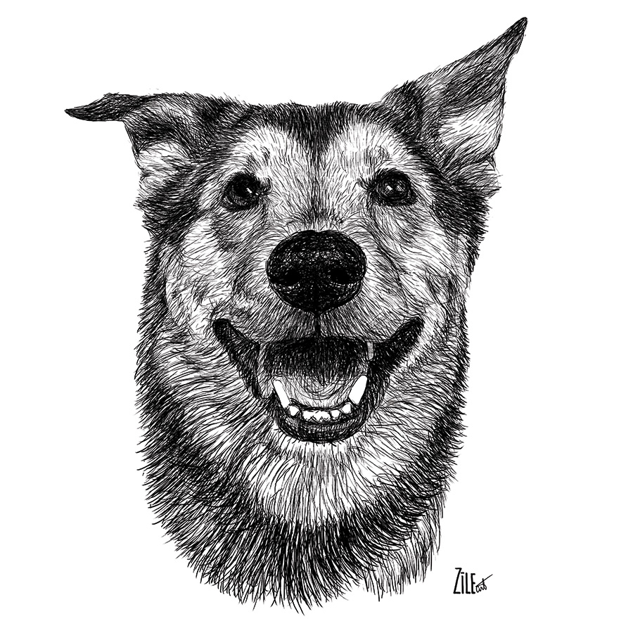 900x900 Jeff - Jeff Drawing