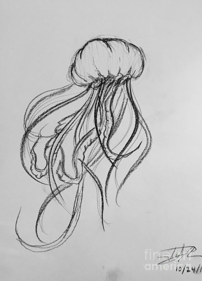 647x900 jelly jelly drawing - Jelly Drawing