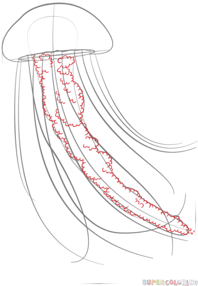 399x575 How To Draw A Jellyfish Step - Jellyfish Drawing