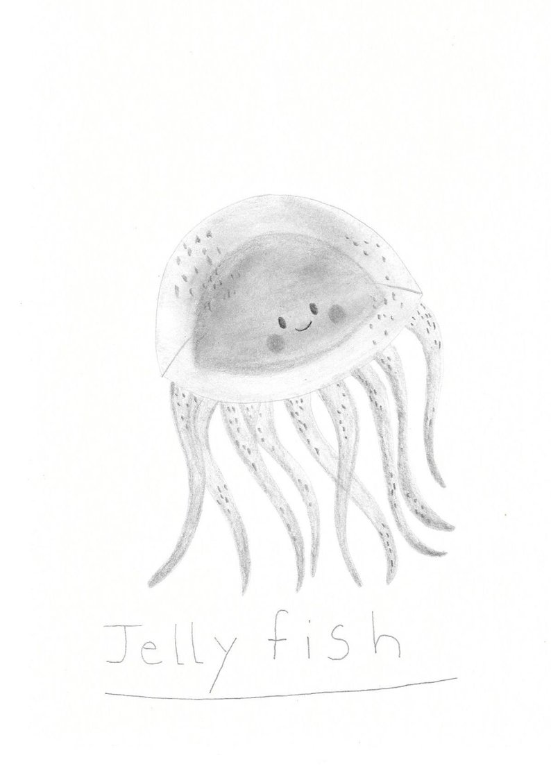 794x1121 Jellyfish Drawing Original Pencil Drawing On Paper Sketch X Etsy - Jellyfish Drawing