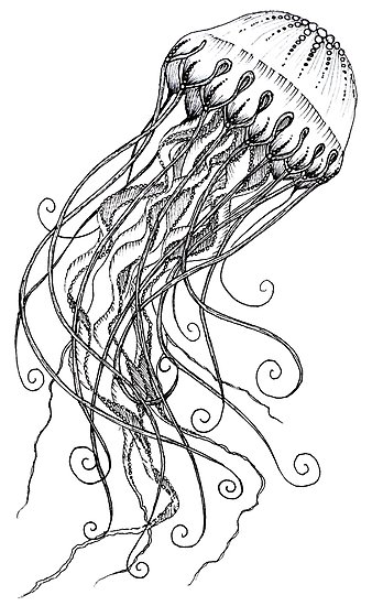348x550 Hand Drawn Jellyfish Sketch Illustration Posters - Jellyfish Drawing