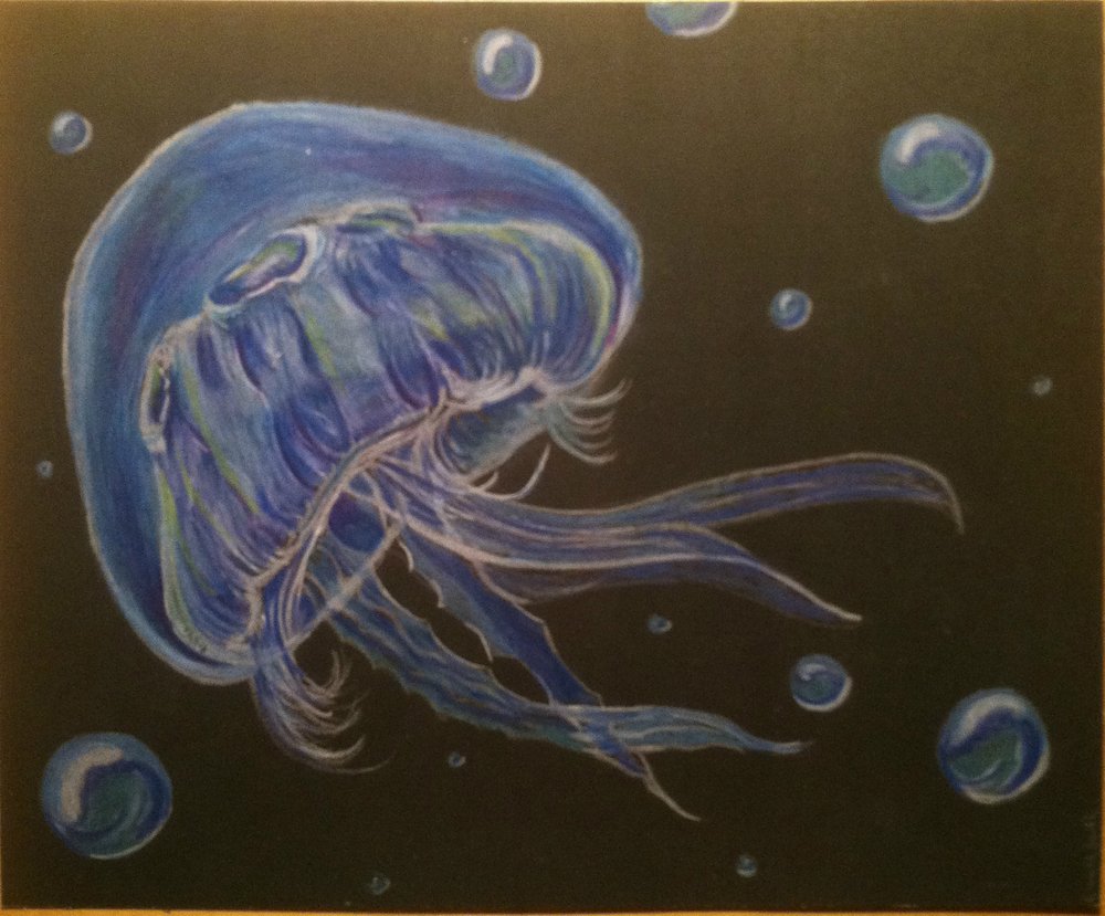 1000x829 Jellyfish Color Pencil Drawing Prints Emmitt Smith Art - Jellyfish Drawing Color
