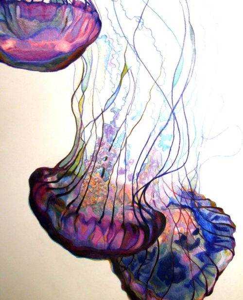 500x618 Jellyfish In Artsy Fartsy Art, Drawings, Jellyfish Tattoo - Jellyfish Drawing Color