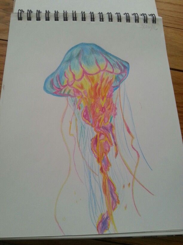 612x816 Laurie Fischer Jellyfish Colored Pencil Drawing From Pinned Photo - Jellyfish Drawing Color