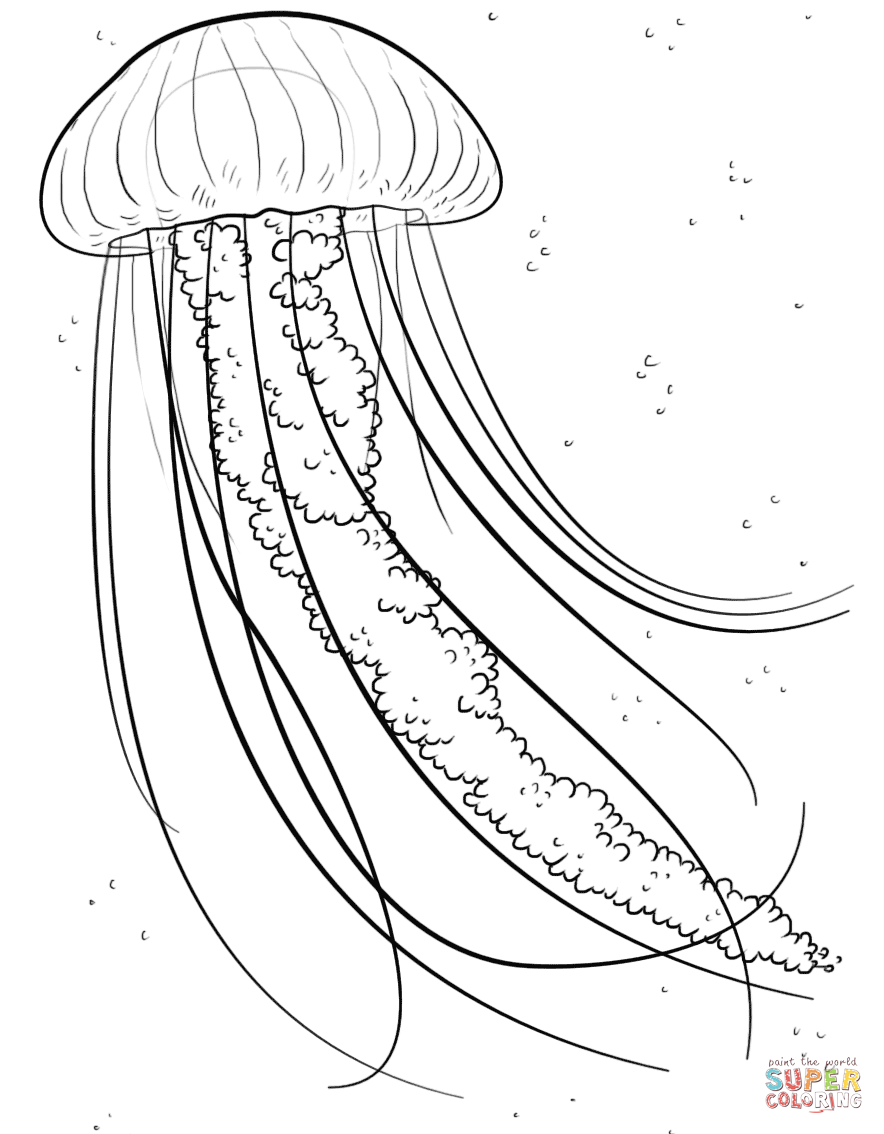 884x1134 Drawing Colours Jellyfish For Free Download - Jellyfish Drawing Color