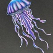 180x180 My Little Jellyfish Drawing - Jellyfish Drawing Color