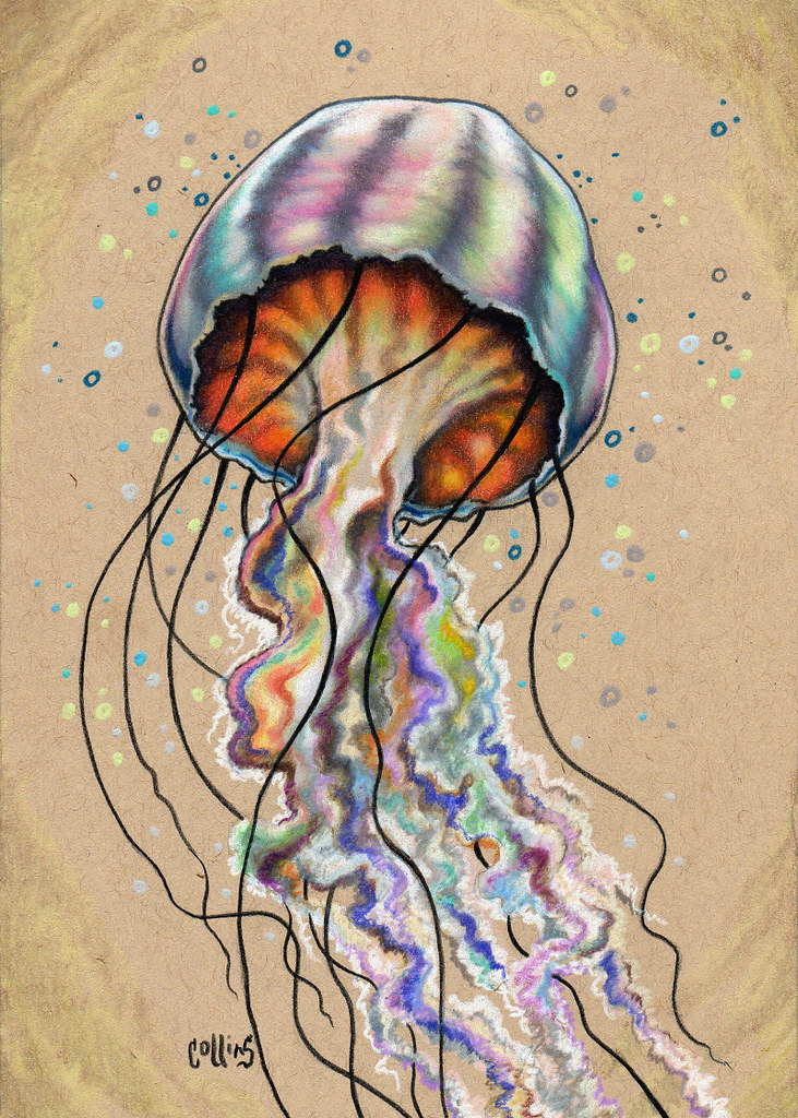 731x1024 The World's Most Recently Posted Photos - Jellyfish Drawing Color