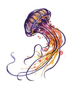 236x295 Jellyfish Drawing Color - Jellyfish Drawing Color