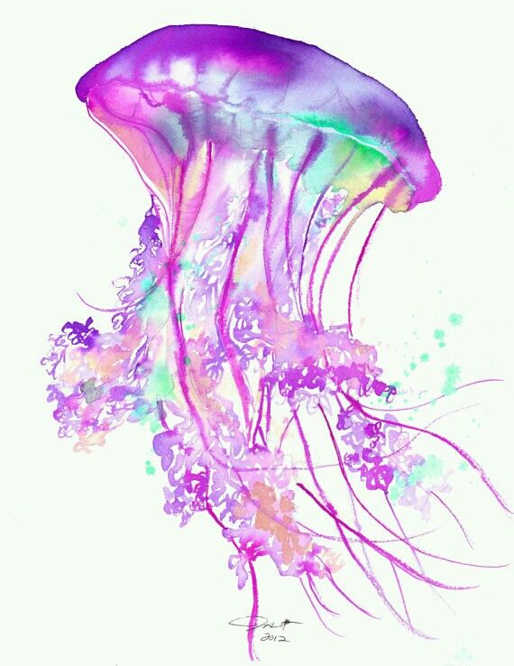 570x738 Jellyfish Drawing For Kids - Jellyfish Drawing Color