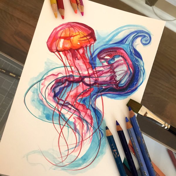 600x600 Jellyfish - Jellyfish Drawing Color