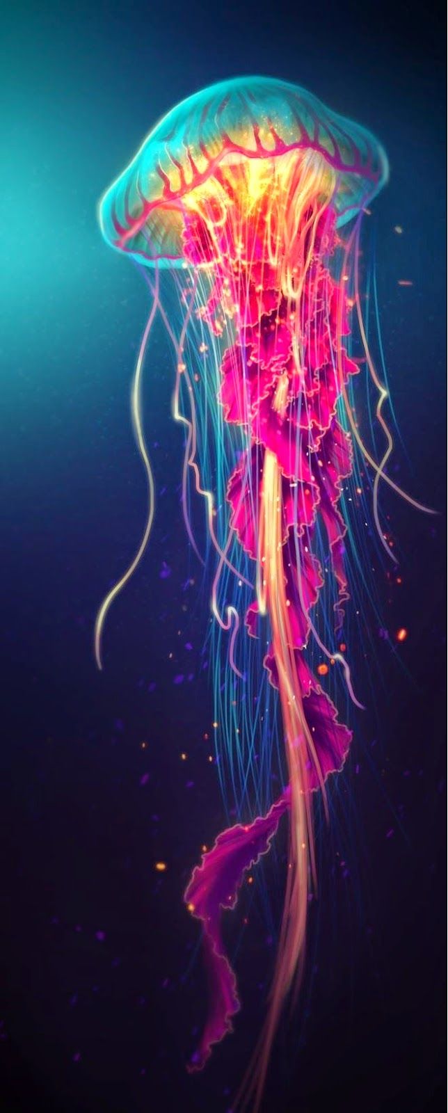 644x1600 Amazing Colors In This Jellyfish Art Animals Jellyfish Art - Jellyfish Drawing Color