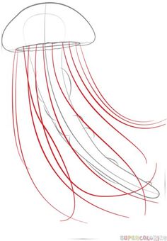 236x340 How To Draw A Jellyfish Step - Jellyfish Drawing For Kids