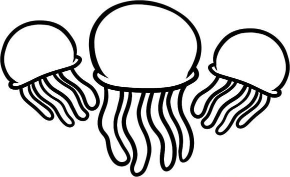 580x355 three jellyfish coloring pages numbers jellyfish drawing, fish - Jellyfish Drawing For Kids