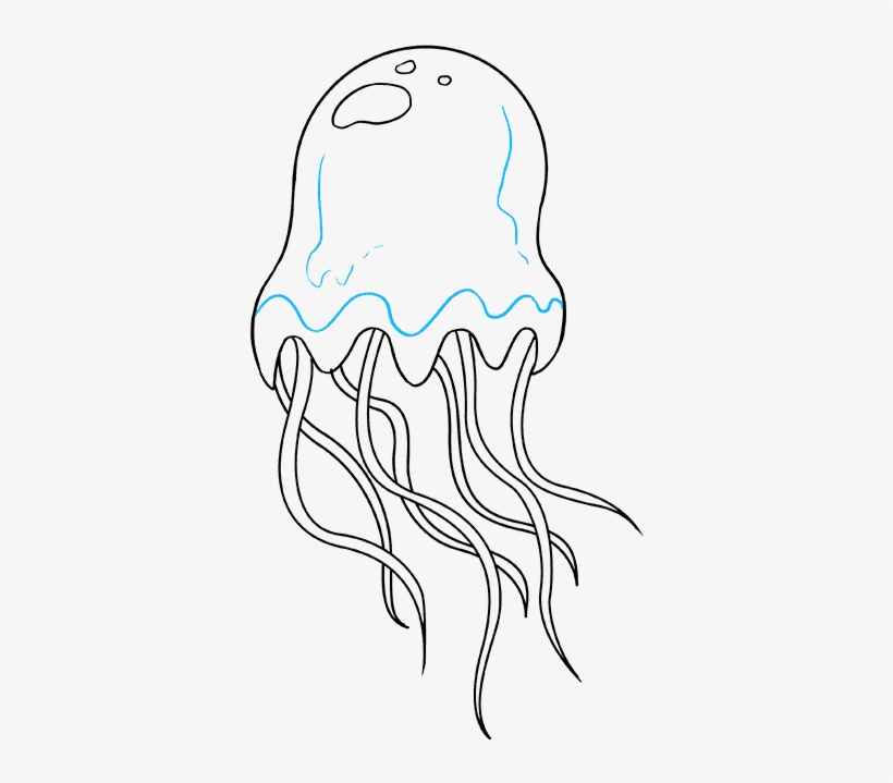 820x719 How To Draw Jellyfish - Jellyfish Line Drawing