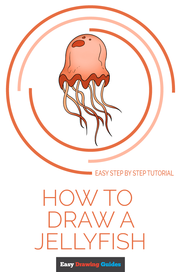 600x900 How To Draw A Jellyfish - Jellyfish Line Drawing
