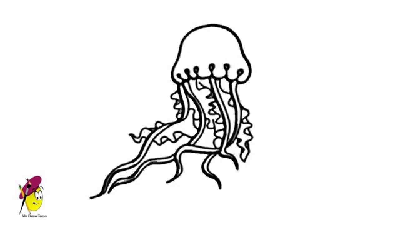 1280x720 Drawn Jellyfish Line Drawing - Jellyfish Line Drawing
