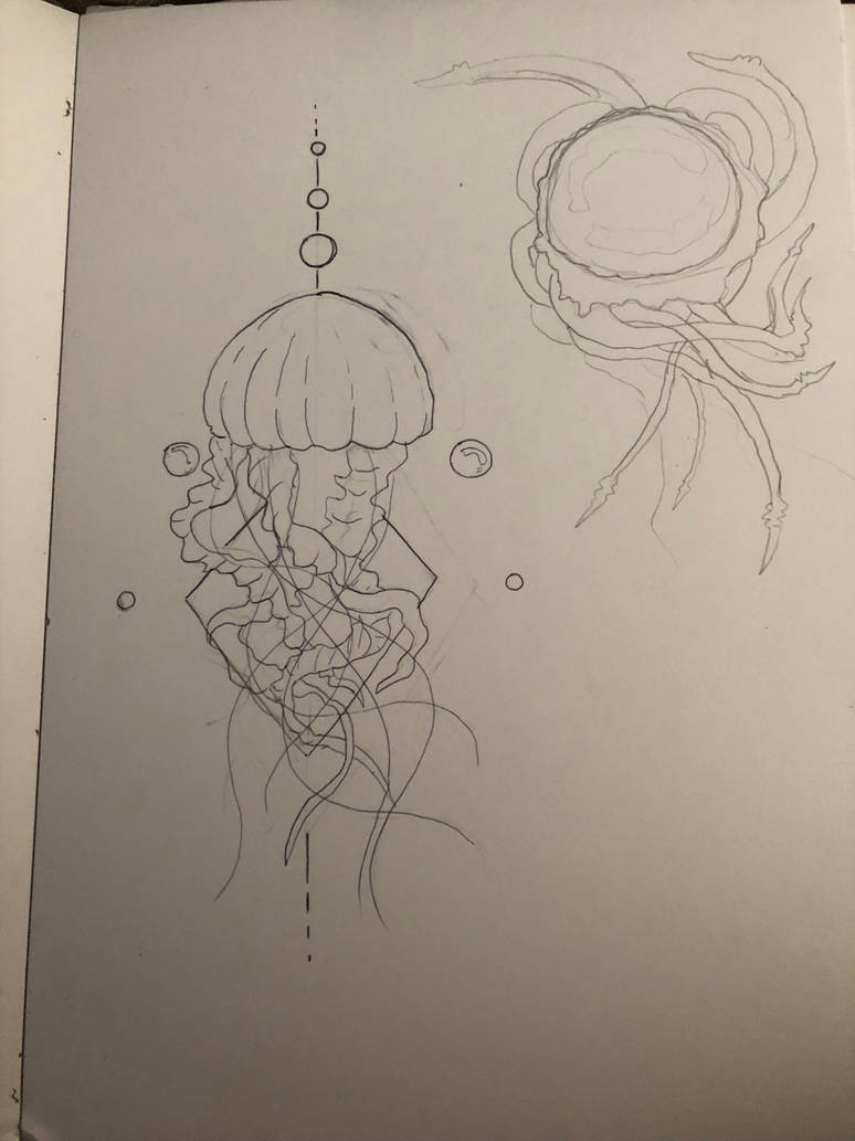 774x1033 Jellyfish Tattoo Sketch - Jellyfish Tattoo Drawing