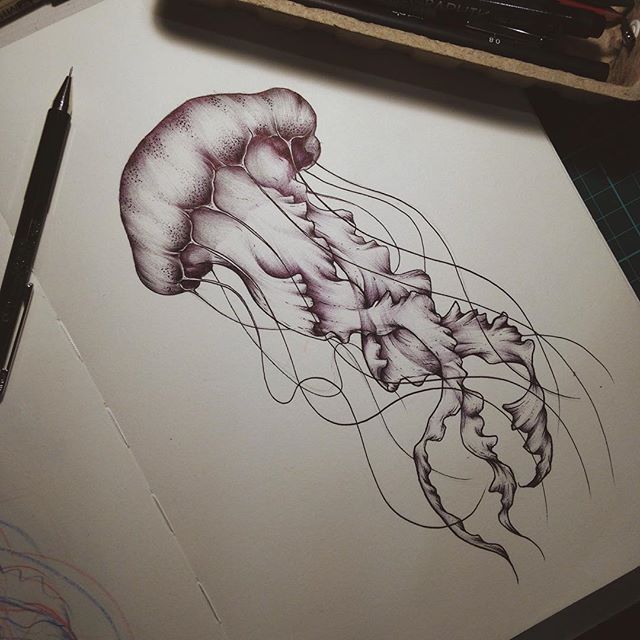 640x640 afbeeldingsresultaat voor jellyfish tattoo drawing tattoos - Jellyfish Tattoo Drawing