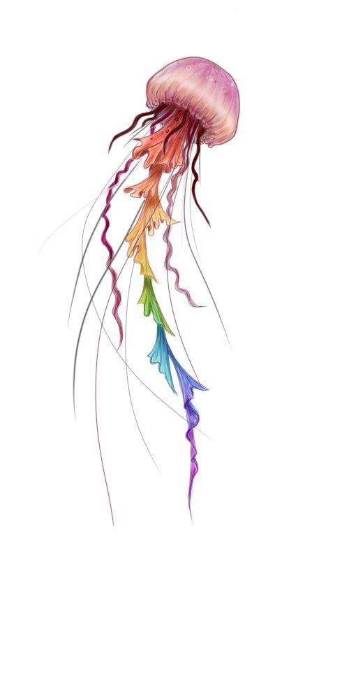 500x1000 Anna Litvinova - Jellyfish Tattoo Drawing