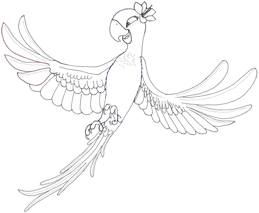 850x697 how to draw jewel from rio and rio in easy steps drawing - Jewel Drawing