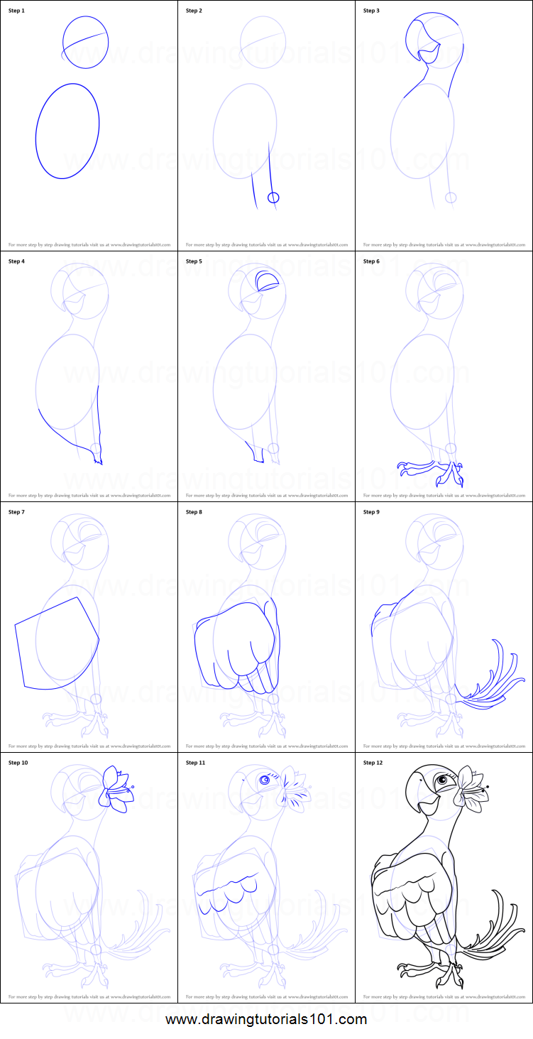 751x1463 how to draw jewel from rio printable step - Jewel Drawing