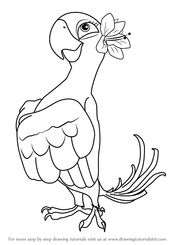 596x843 learn how to draw jewel from rio - Jewel Drawing