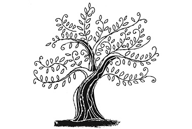 380x255 The Frozen Rabbi Week Part - Jewish Tree Of Life Drawing