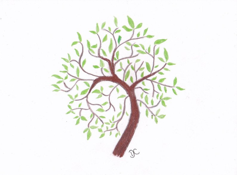 794x588 Tree Of Life Original Pencil Drawing Plus Limited Edition Etsy - Jewish Tree Of Life Drawing