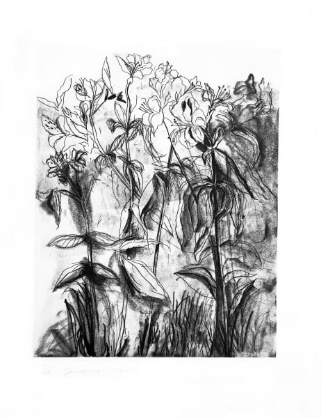 462x600 Jim Dine A History Of Communism Alan Cristea Gallery - Jim Dine Drawings