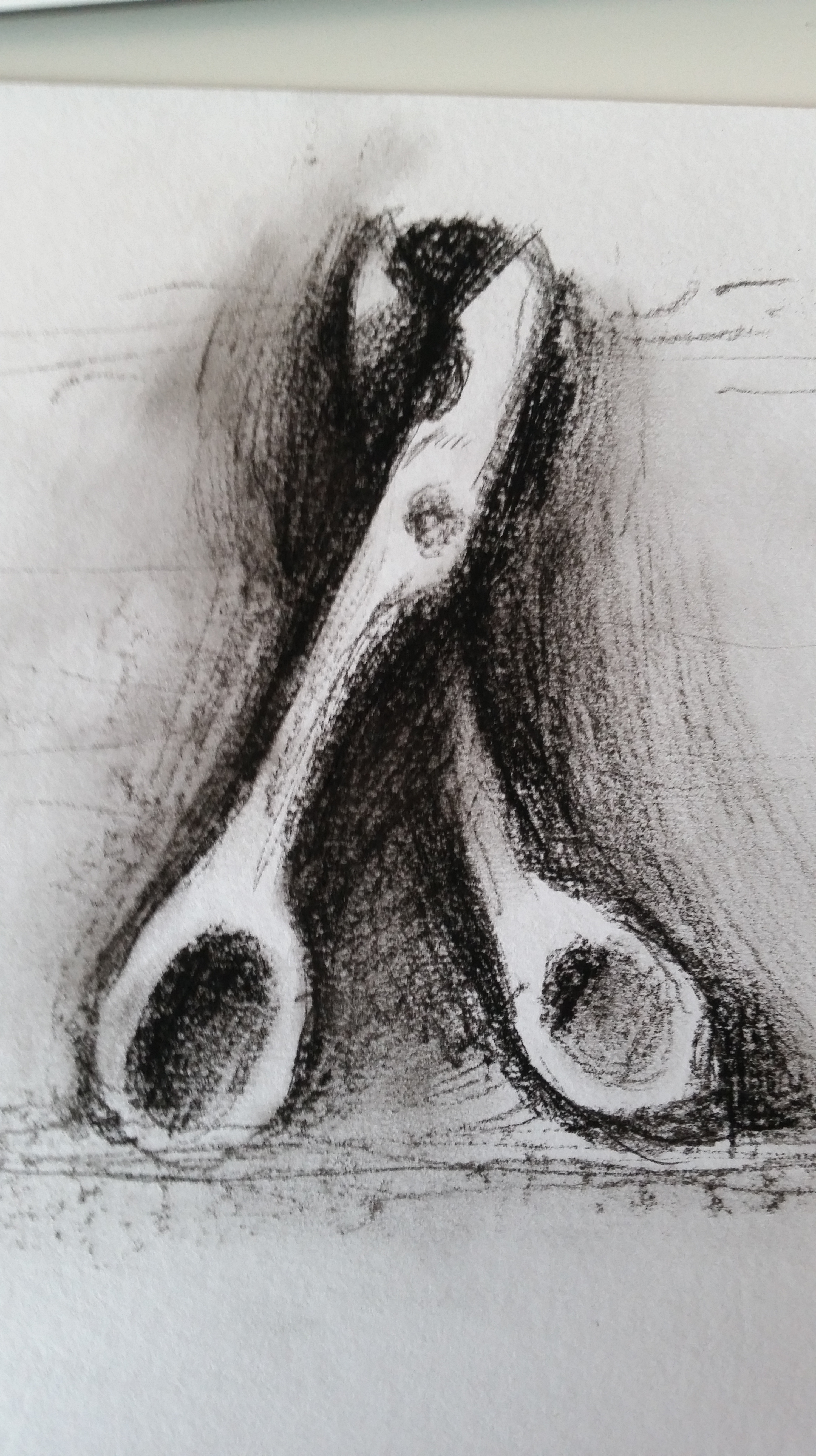 2976x5312 Jim Dine Copies And Analysis Elizabeth Emsley - Jim Dine Drawings