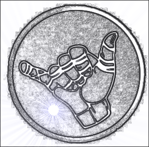 300x295 what is the bjj lifestyle - Jiu Jitsu Drawing