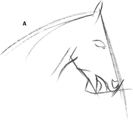 521x473 racehorse jockey - Jockey Drawing