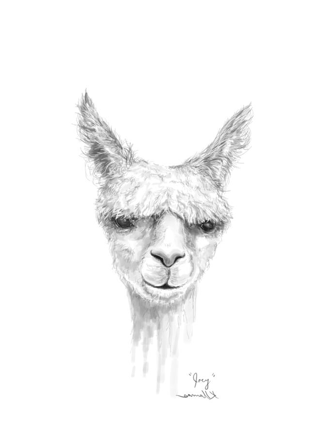 675x900 Joey Drawing - Joey Drawing