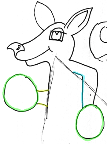 350x470 Step Drawing Kangaroos And Baby Joey Cartoon With Easy Step - Joey Drawing