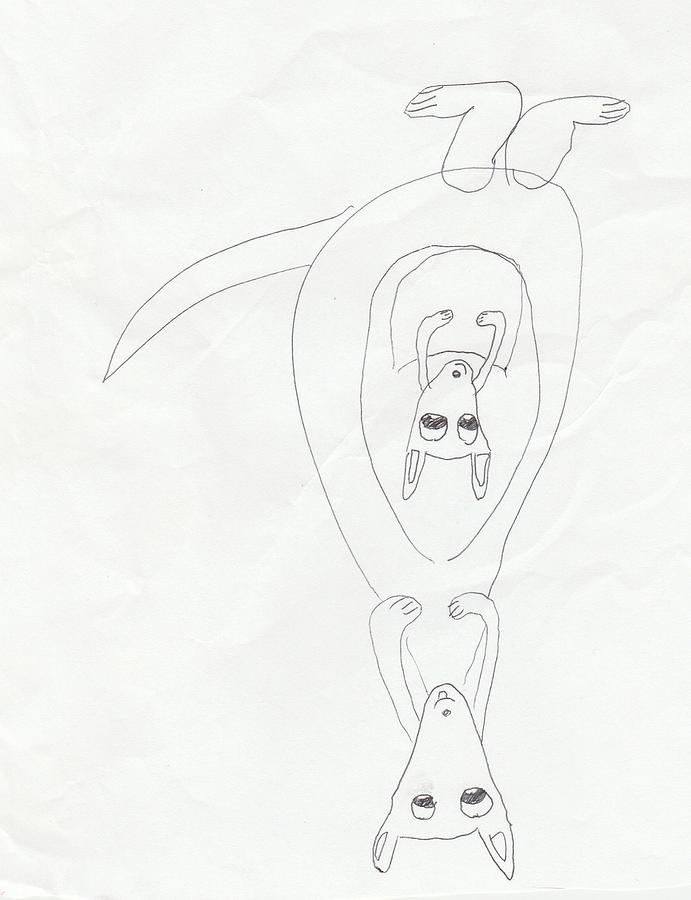 691x900 Upside Down Kangaroo With Joey Drawing - Joey Drawing