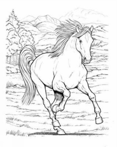 400x503 Wonderful World Of Horses Coloring Book John Green - John Green Drawing