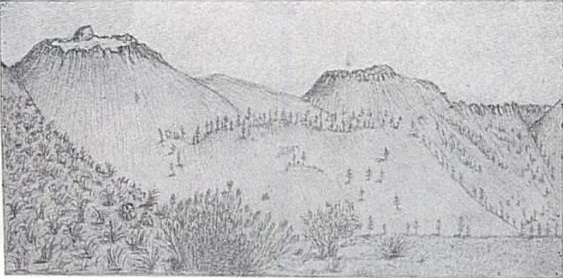 563x279 filemono craters - John Muir Drawings