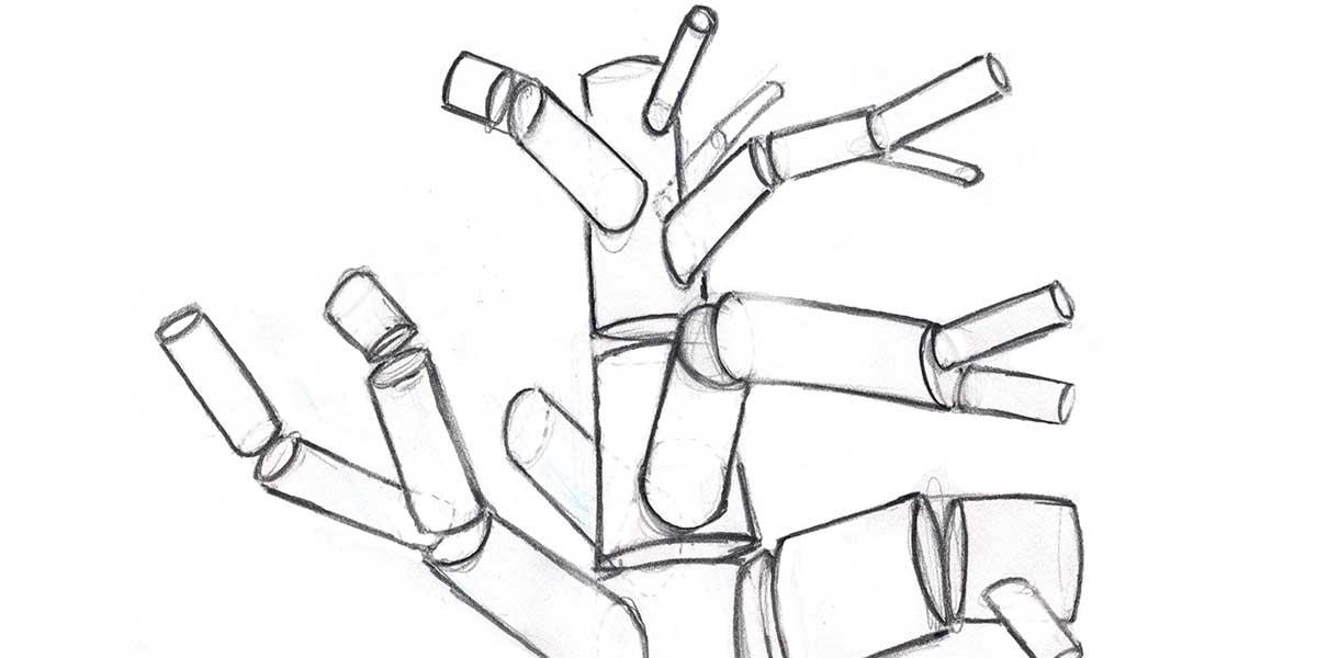 1200x600 john muir laws drawing trees - John Muir Drawings